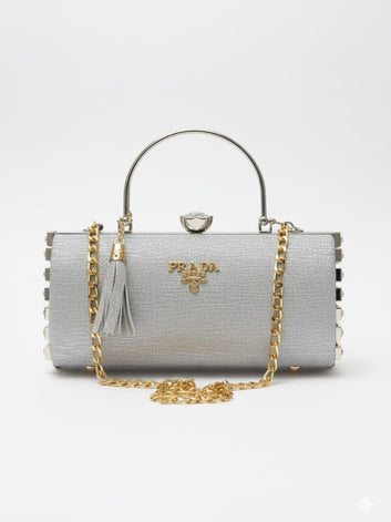 Elegant Box Clutch with Chain Strap